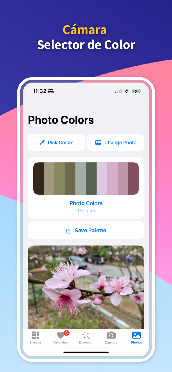 Color Identifier App - Custom Palette Creator