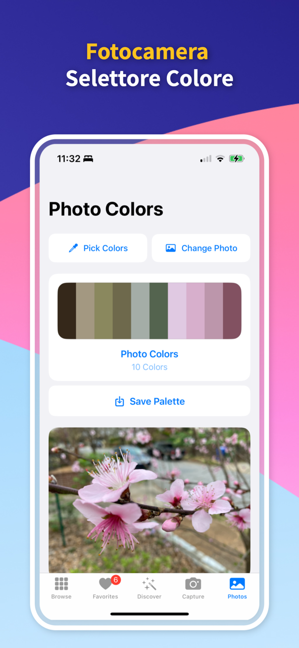 Color Identifier App - Custom Palette Creator